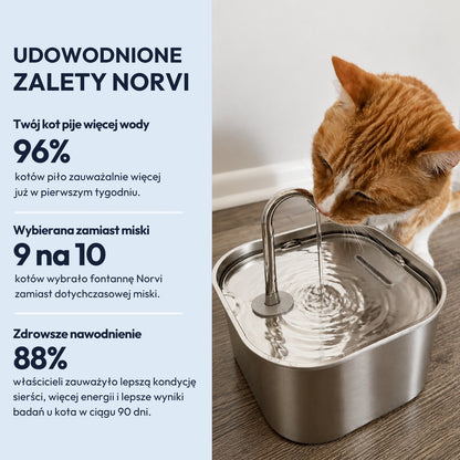 Norvi I Fontanna dla kota