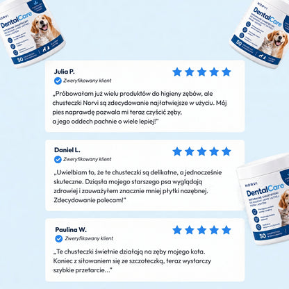 Norvi DentalCare