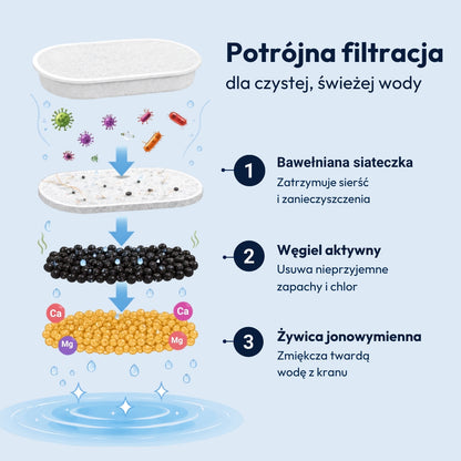 Norvi I Fontanna dla kota