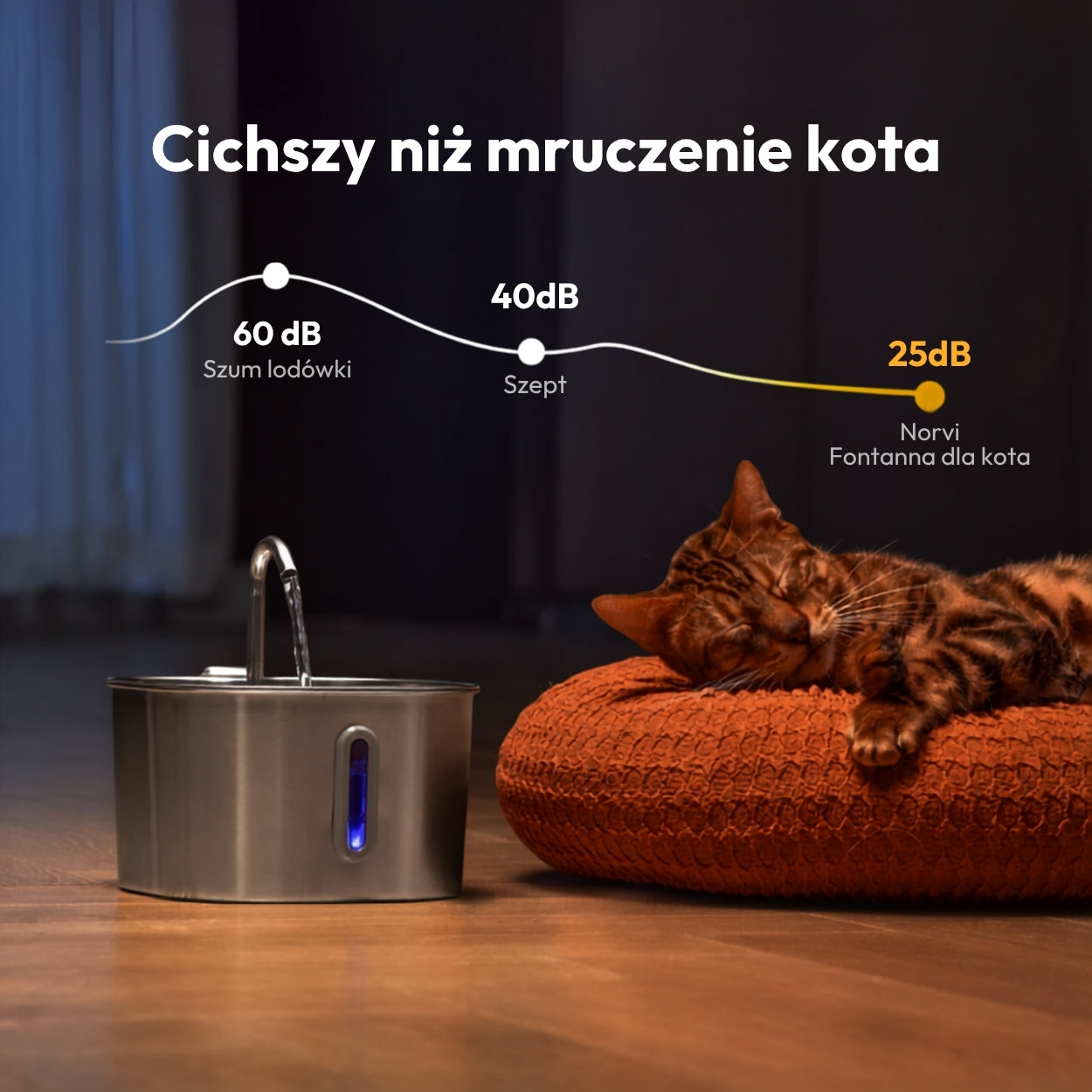 Norvi I Fontanna dla kota