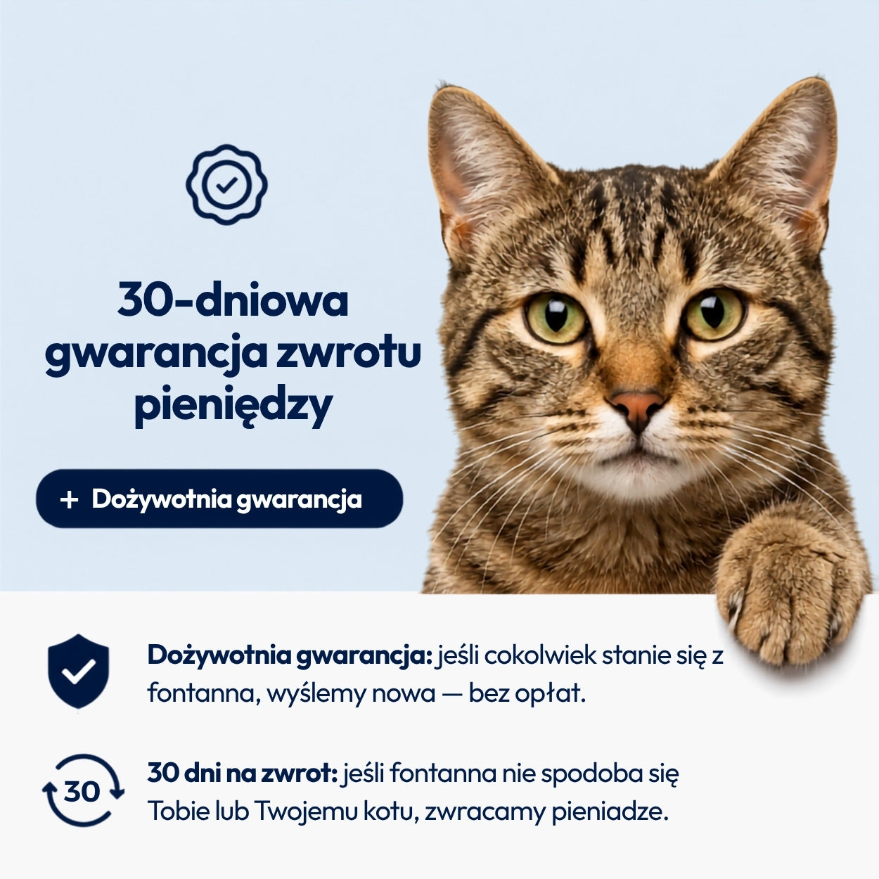 Norvi I Fontanna dla kota