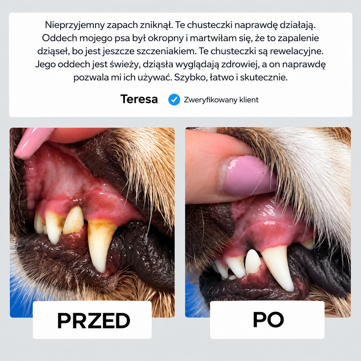 Norvi DentalCare