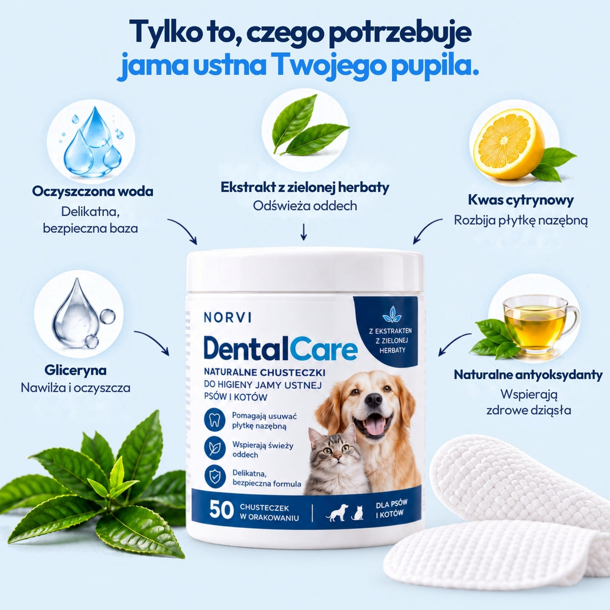Norvi DentalCare