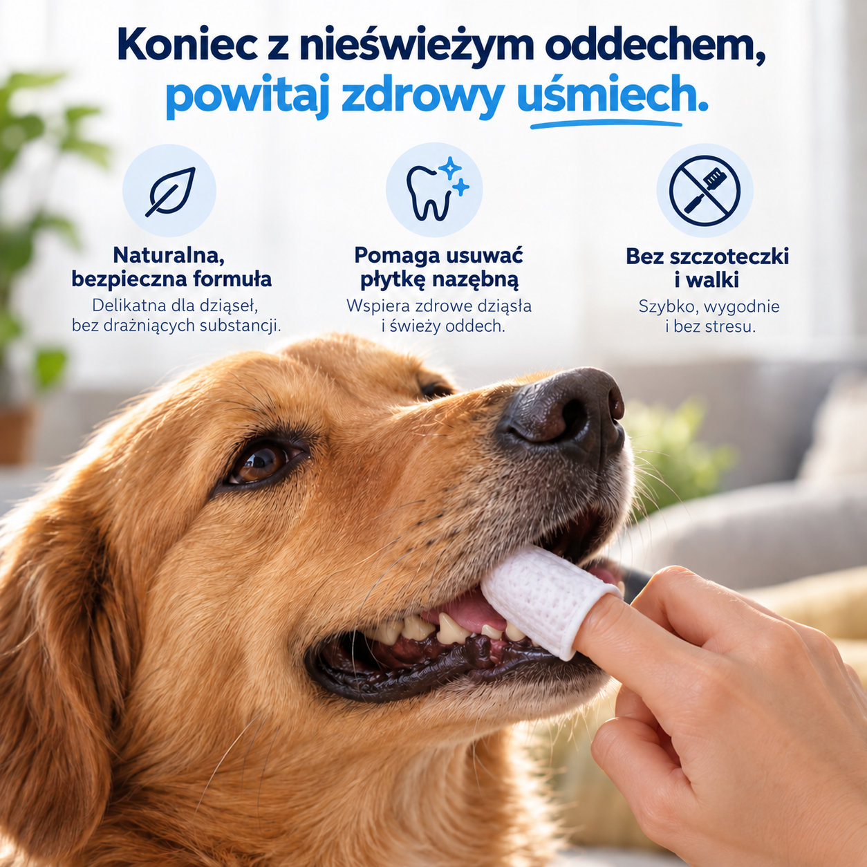 Norvi DentalCare