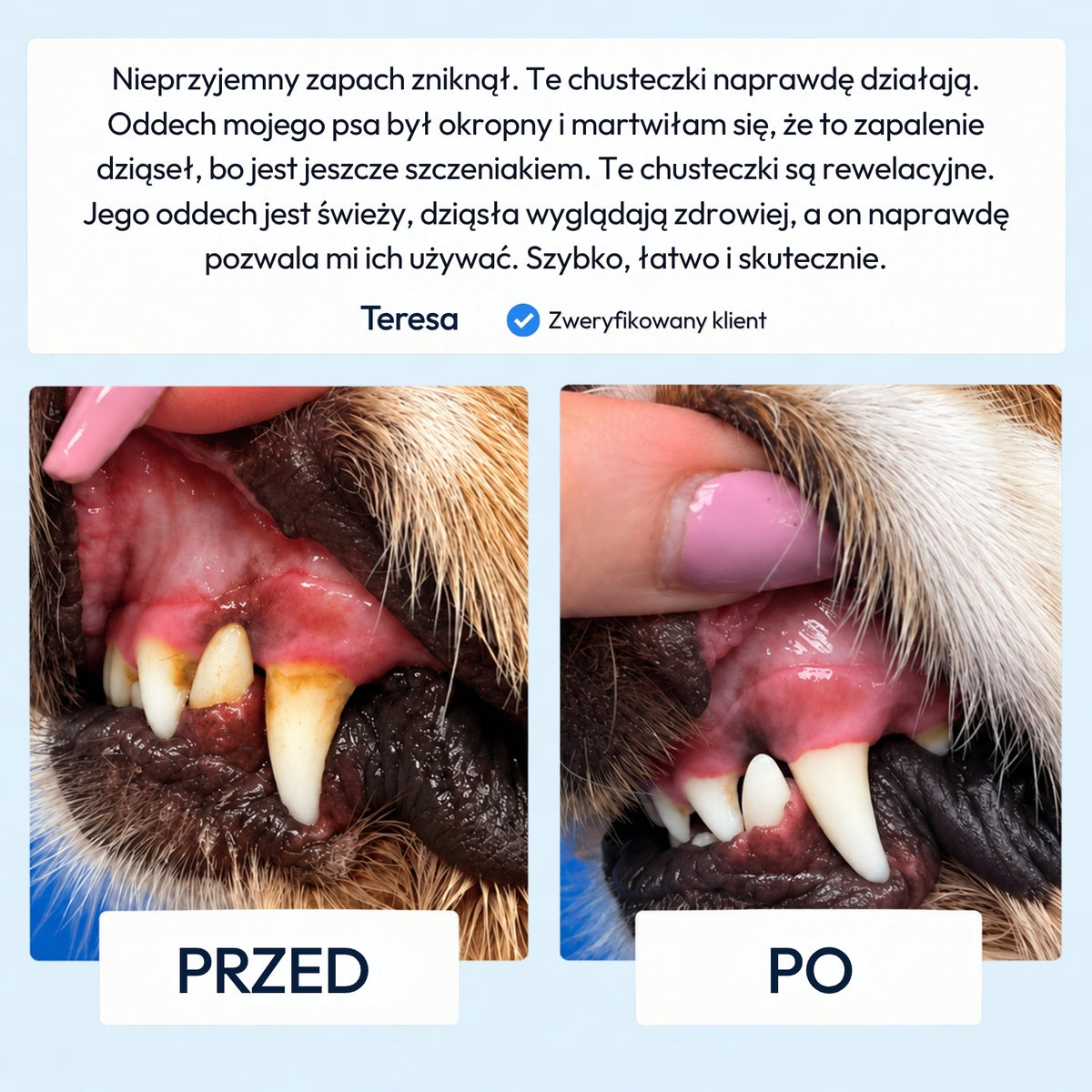 Norvi DentalCare
