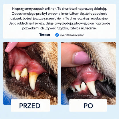 Norvi DentalCare