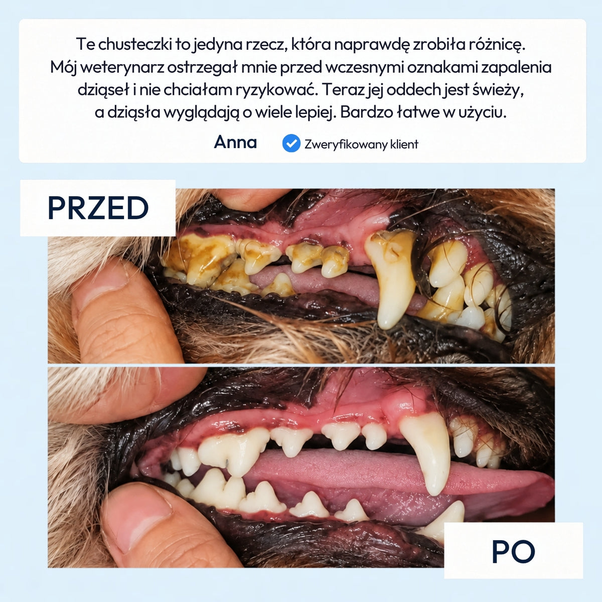 Norvi DentalCare
