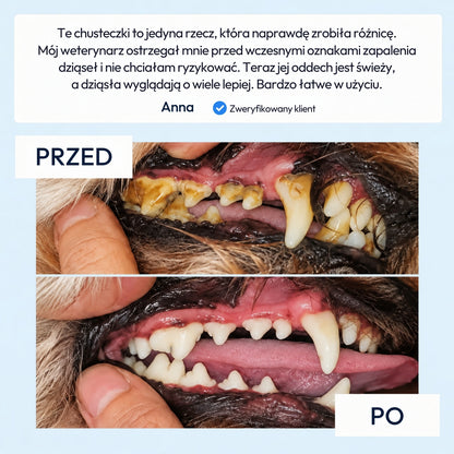 Norvi DentalCare
