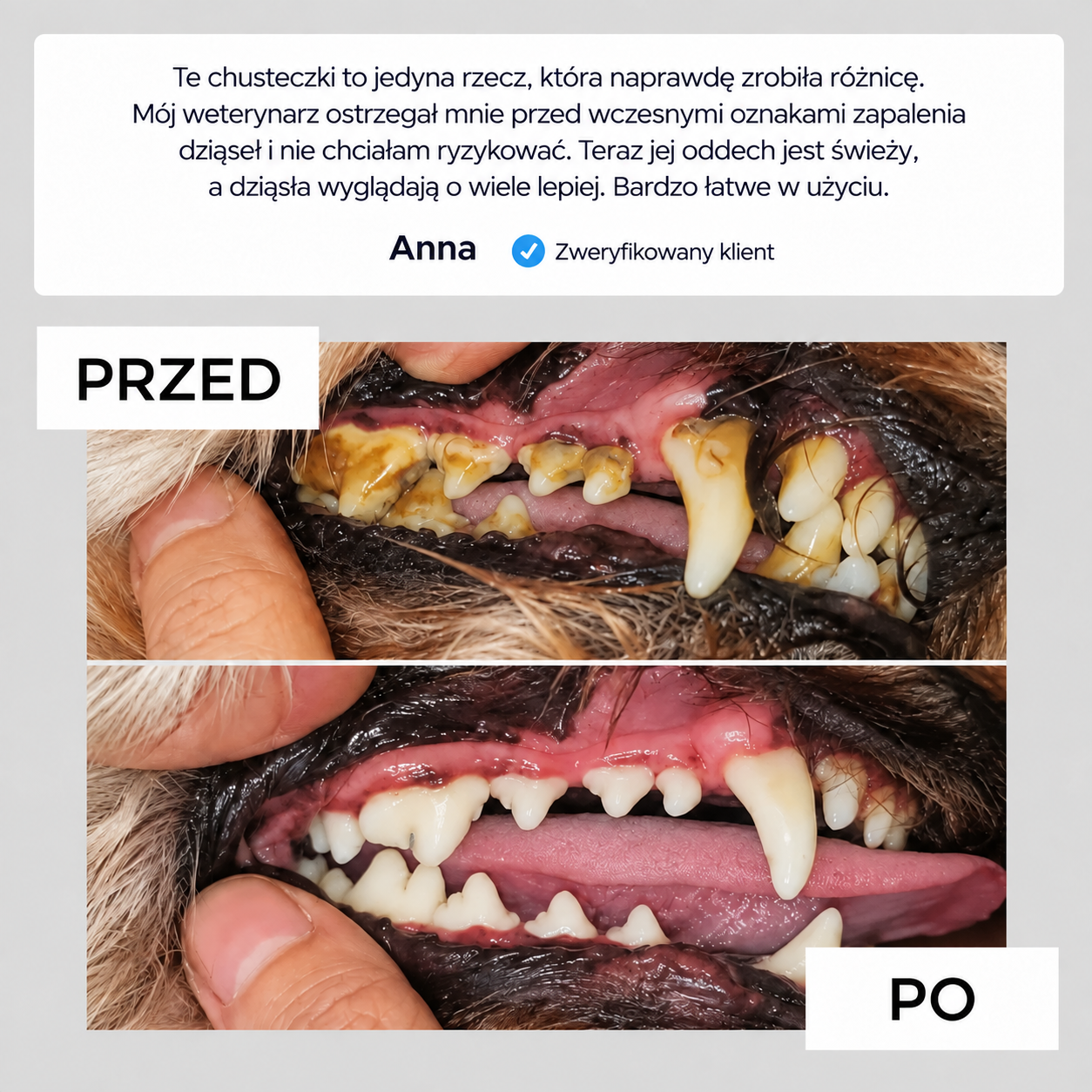 Norvi DentalCare