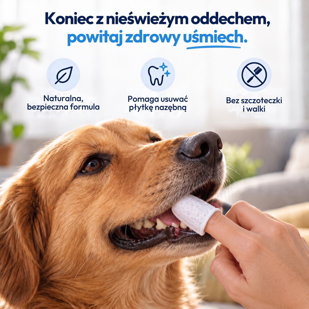 Norvi DentalCare