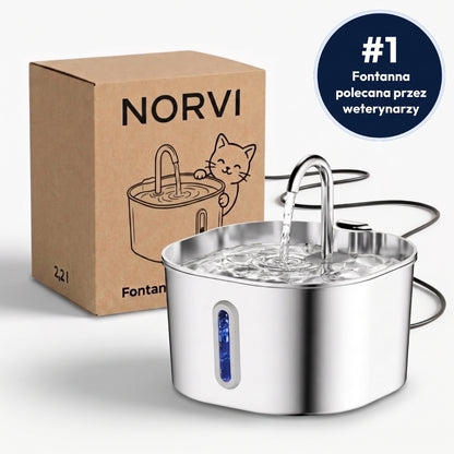 Norvi I Fontanna dla kota