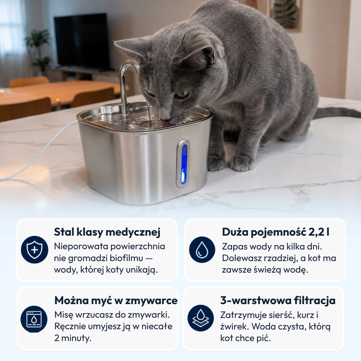 Norvi I Fontanna dla kota