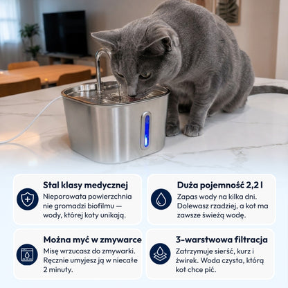 Norvi I Fontanna dla kota