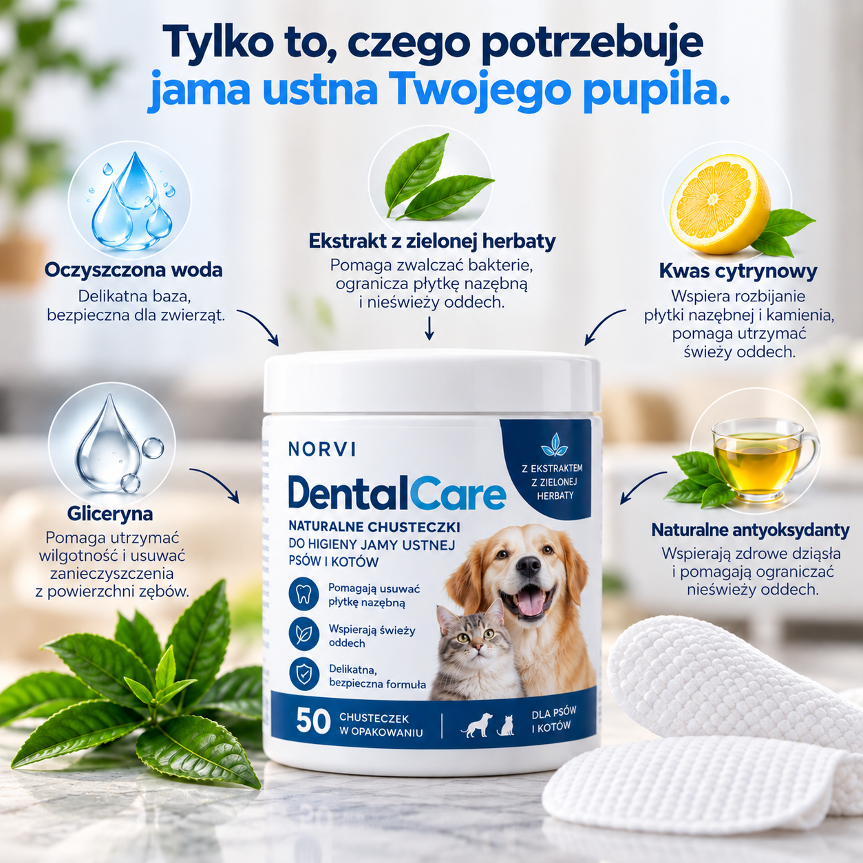 Norvi DentalCare